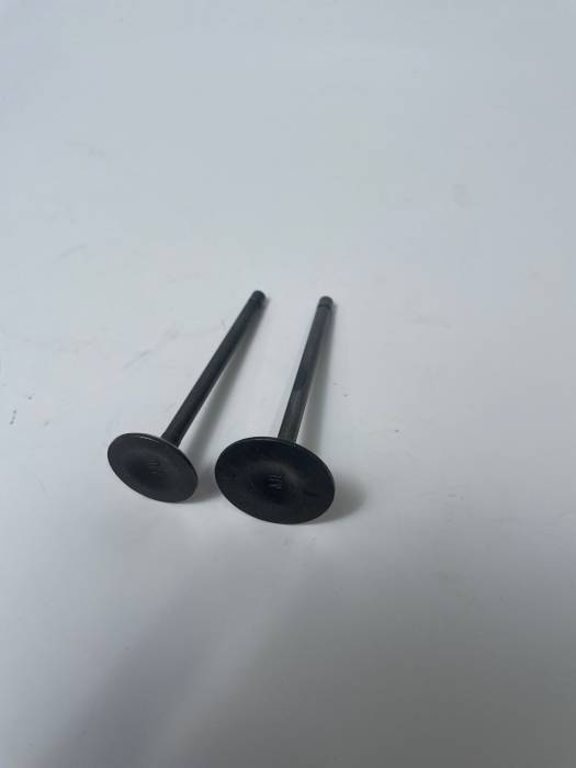 Клапаны CG200 (D=31/L=90; D=26/L=89) (пара)