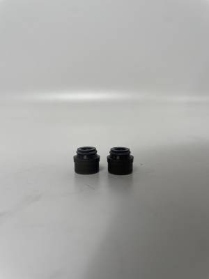 Маслосъемный колпачек (комп.2шт.) KAYO двиг. ZS NC250 (жидкостное) (P061090) CN