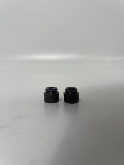 Маслосъемный колпачек (комп.2шт.) KAYO двиг. ZS NC250 (жидкостное) (P061090) CN