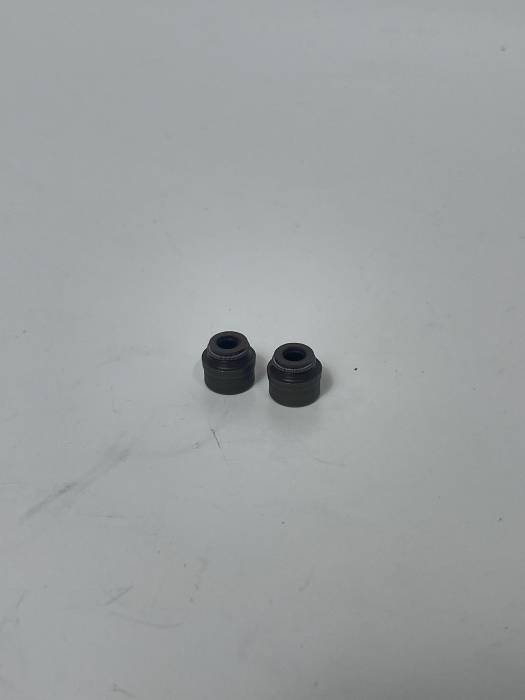 Маслосъемный колпачек (комп.2шт.) KAYO двиг. ZS NC250 (жидкостное) (P061090) CN