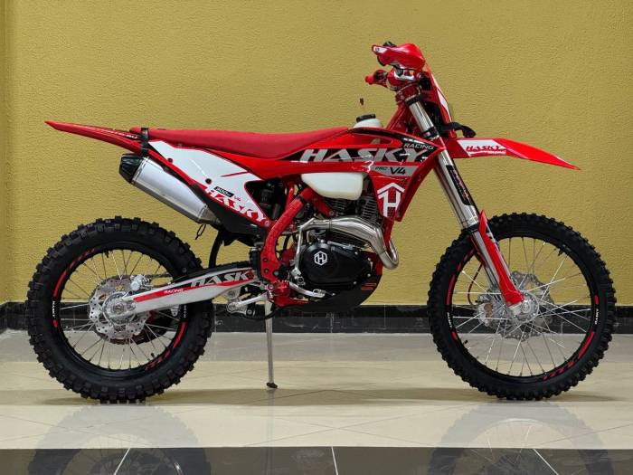 Мотоцикл Hasky V4 Racing (300cc, баланс. вал, 4 клапана) MSD