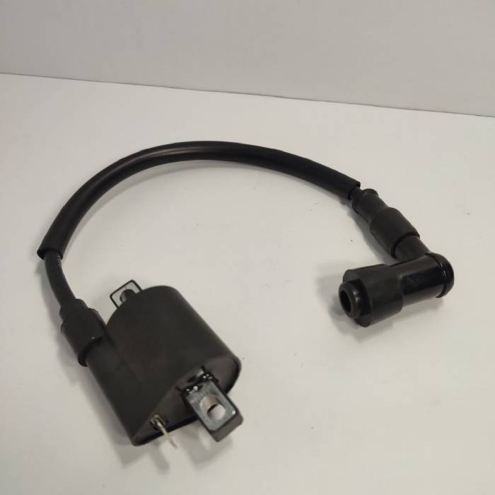 Катушка зажигания Hasky F5