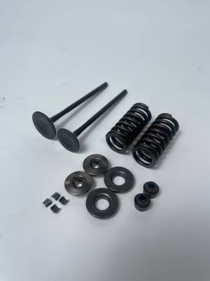 Клапаны к-т ZS170MM-2, ZS177MM (d-28/24,L100) + пружины сухари тарелки