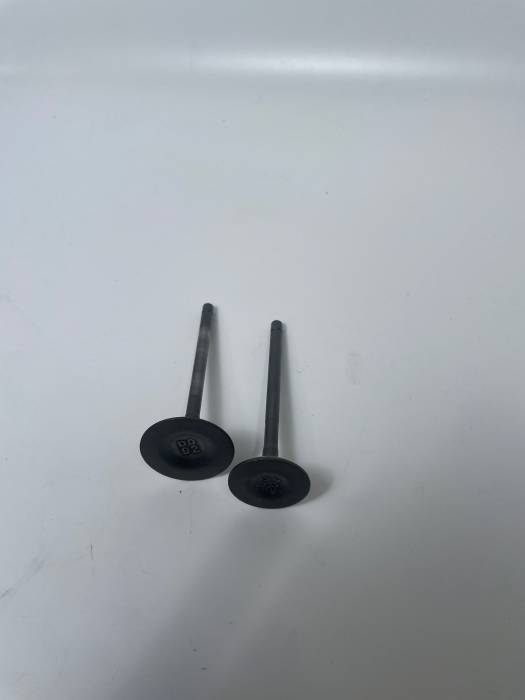 Клапаны комплект 250сс 169FMM,167FMM (впуск/выпуск)